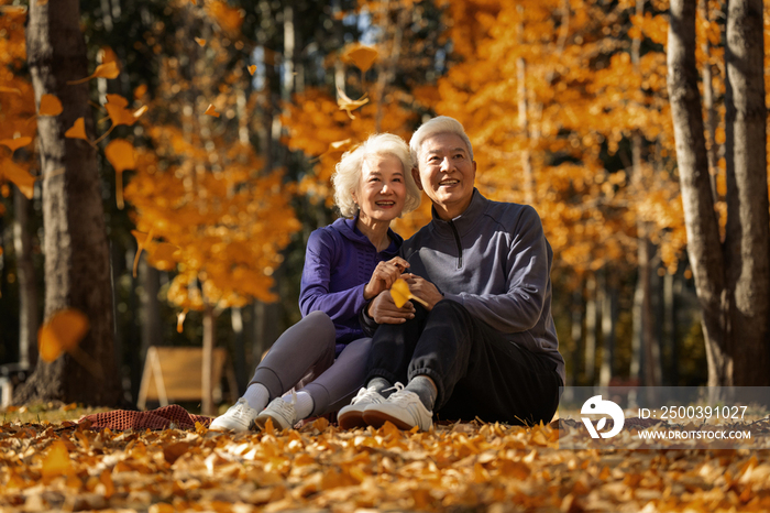 户外老年夫妇坐在落叶上