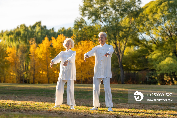 老年夫妇正在练太极拳