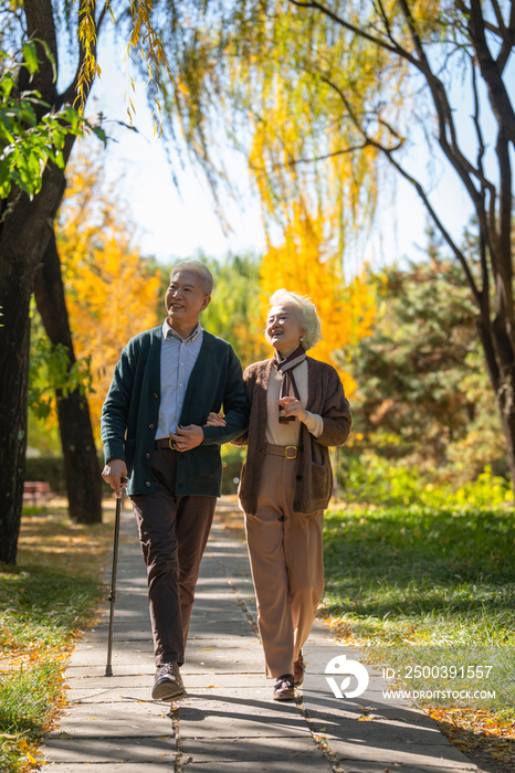 时尚的老年夫妇在公园里散步