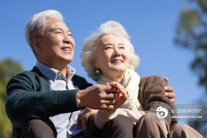 户外幸福的老年夫妇手牵手