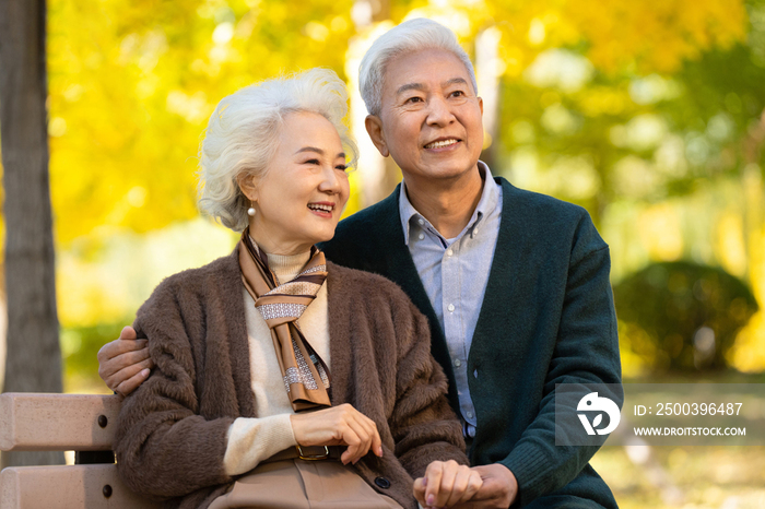 幸福的老年夫妇坐在长椅上