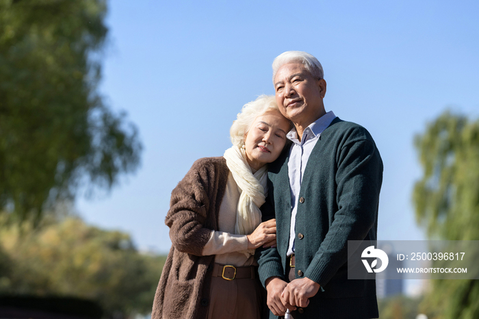 户外幸福的老年夫妇