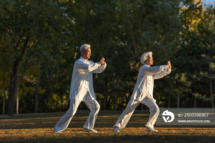 老年夫妇正在练太极拳