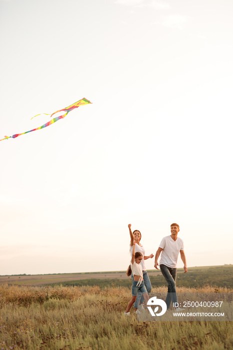 Happy family with kite walking in meadow