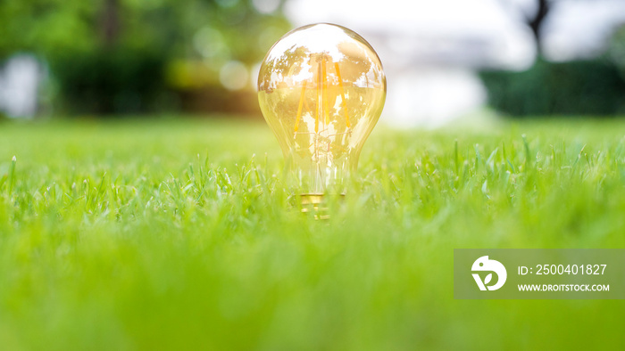 light bulb in green grass, Save earth concept