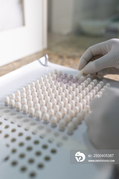 making white capsules. compounding pharmacy. compounding green medication.