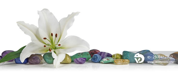 White Lily and healing Crystal - a solitary lily place on top of a row of multicolored tumbled heali