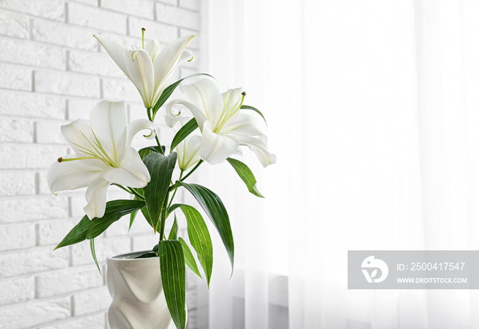 Beautiful white lilies indoors