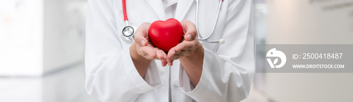 Doctor holding a red heart at hospital office. Medical health care and doctor staff service concept.