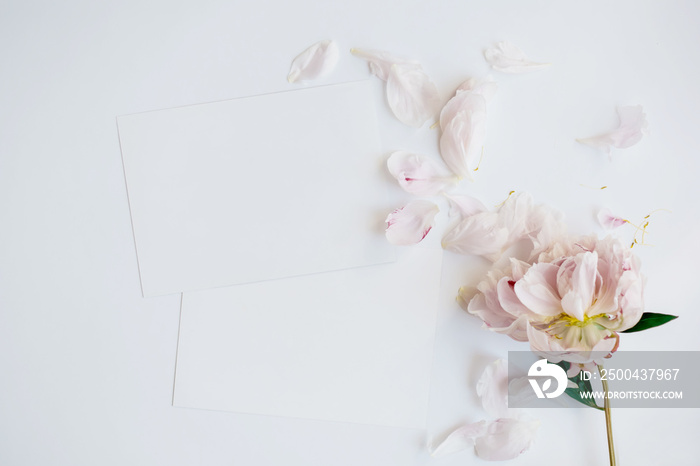 Summer wedding stationery mock-up scene. Blank horizontal greeting card and peony flowers isolated o