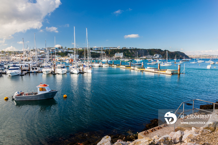 英国德文郡Brixham Marina