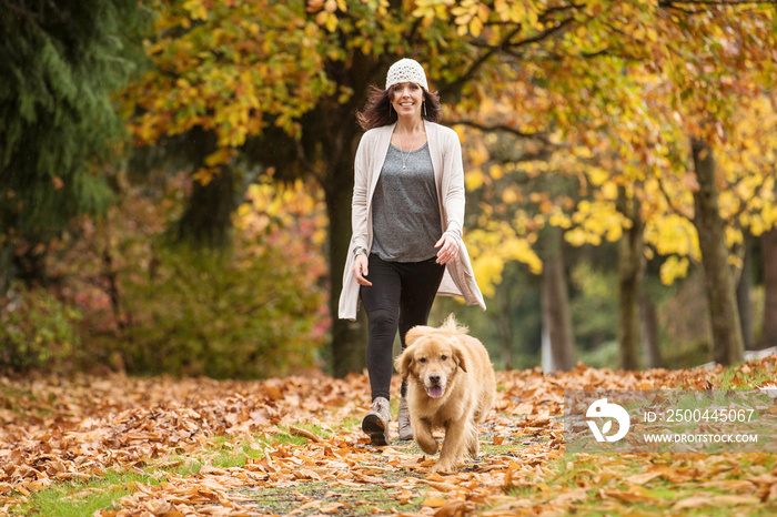 快乐的女人在秋天的公园里遛她的金毛寻回犬