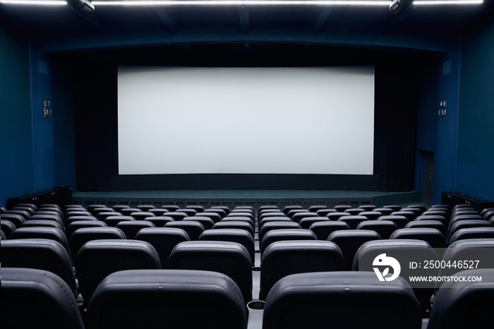 Empty cinema auditorium with chairs.