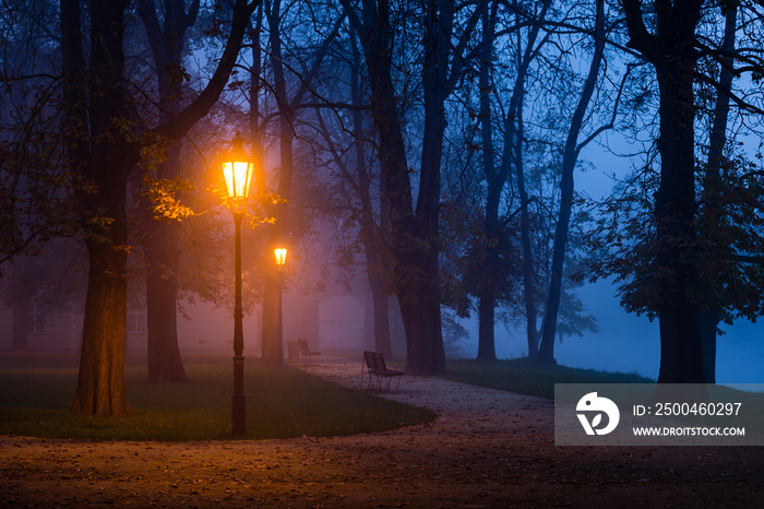 黎明时分城市公园里的复古灯