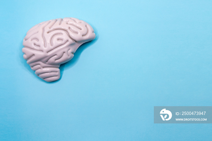 Plastic brain with space for text. Blue background. World Brain Day July 22. Horizontal photography.