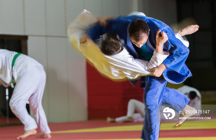 Judo sport training