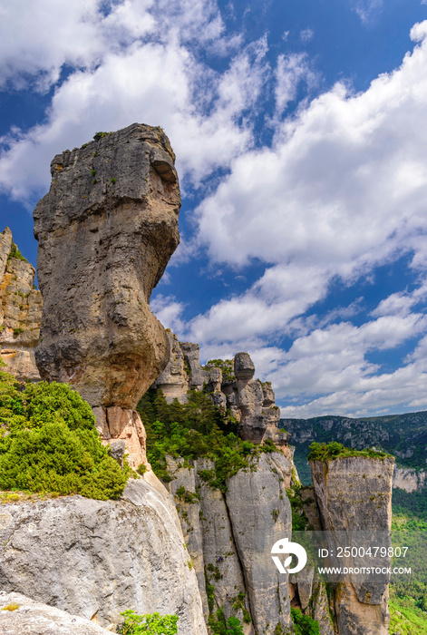 vase de sèvres dans les gorges de la jonte