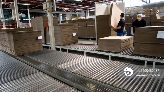 Corrugated cardboard industry. Paper industry. Production. Assembly line. Fabrication of corrugated 