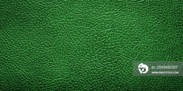 green faux leather with visible details. background