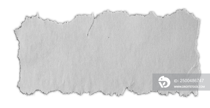 One torn ripped paper piece isolated on white background