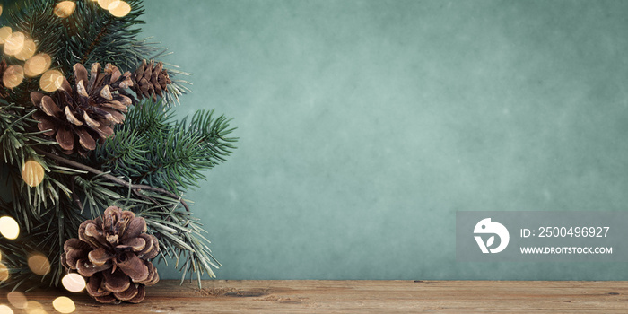 twig with pine cones bokeh background