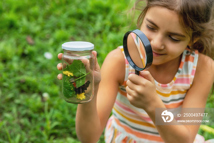 The child catches butterflies in nature. Selective focus. ,