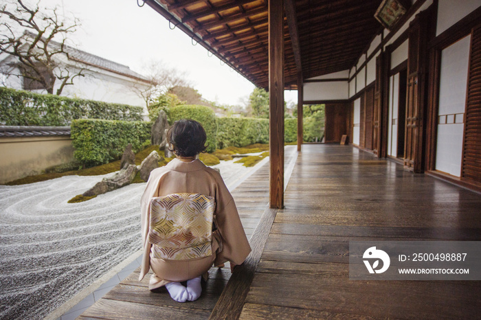 日本岩石花园中的女人的后视图