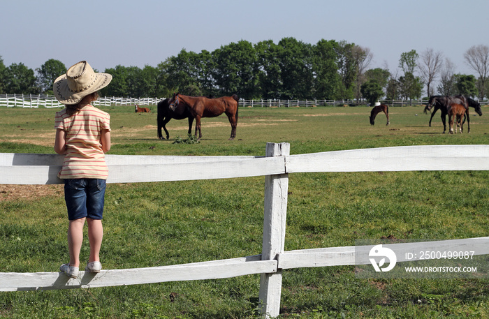 戴牛仔帽的孩子在农场看马