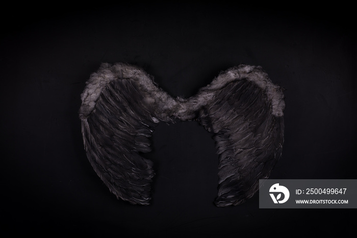 black angel wings