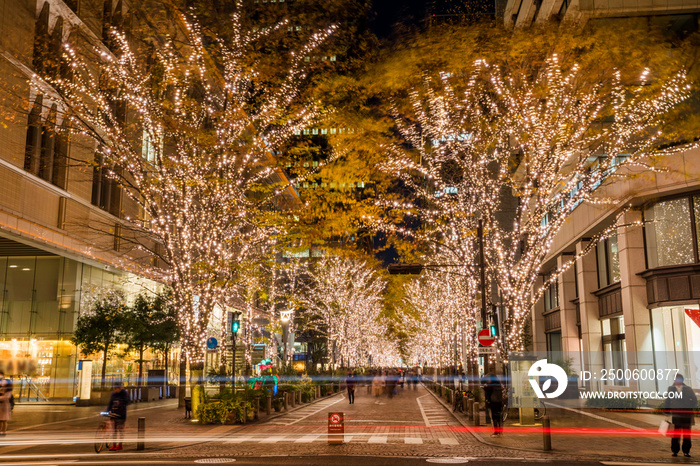 イルミネーションが輝く丸の内仲通りの夜景 / A night view of  Marunouchi Nakadori Avenue  with shining golden illumination