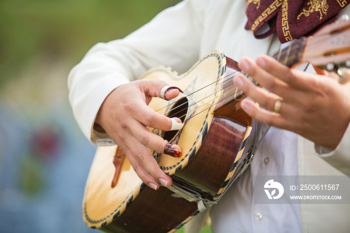 Mariachi guitar