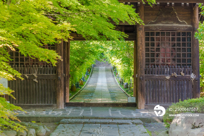 輪王寺山門　初夏