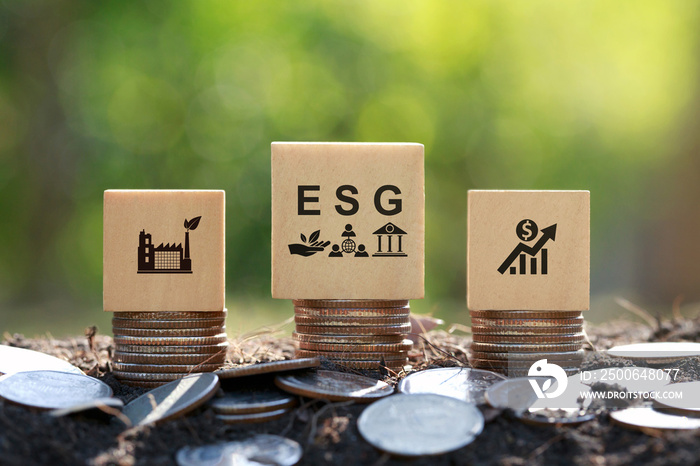 环境、社会和治理的ESG概念。木版上的ESG图标，这是可持续发展的理念