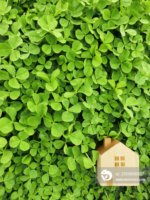 toy home clover background