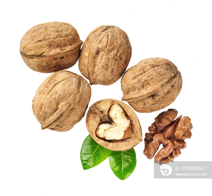 Walnuts with  green leaf isolated on white background