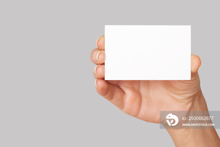 hand holding blank business card