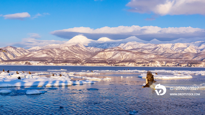 流氷とワシ　風景