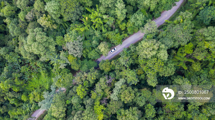 Aerial top view car driving through the forest on country road, view from drone