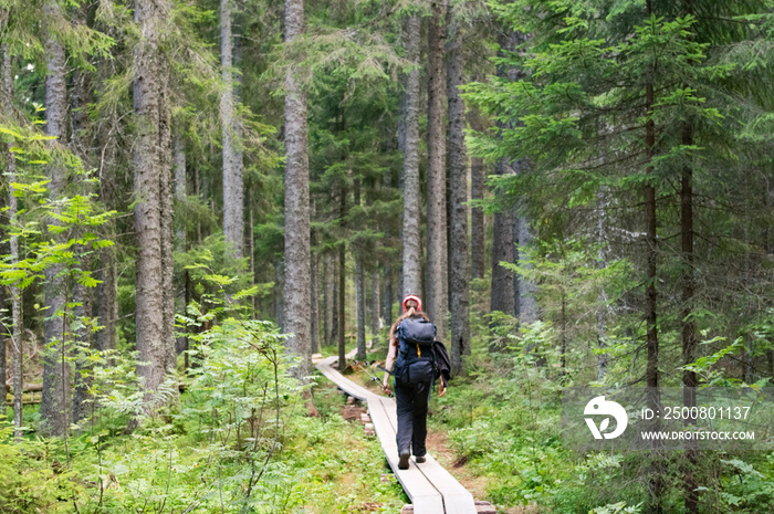 Randonneuse sur un sentier aménagé en forêt