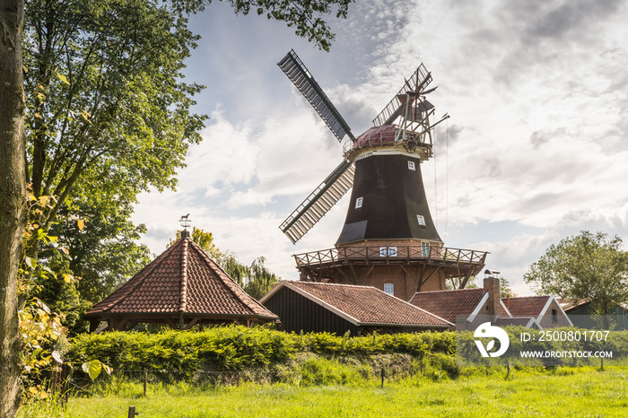 Windmühle Rhaude in grüner Natur an der Niedersächsischen Mühlenstraße im Landkreis Leer, Ostfriesland, Niedersachsen, Deutschland