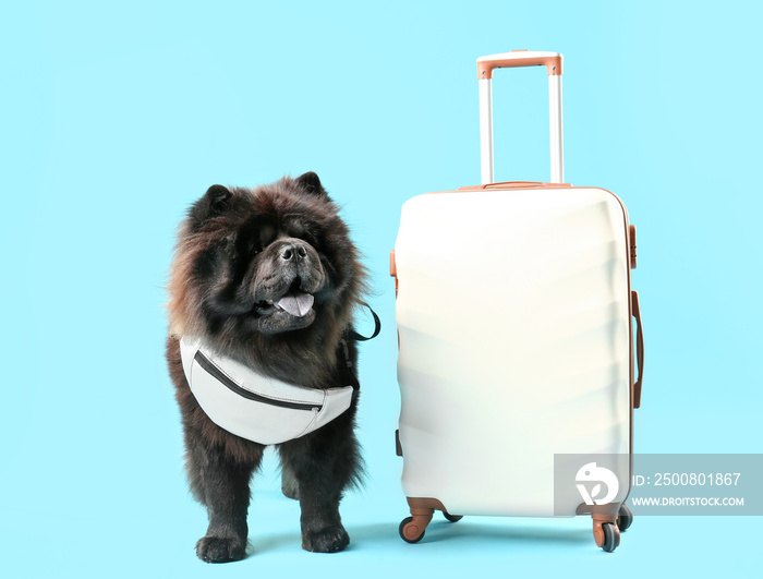 Cute Chow-Chow dog with suitcase on color background