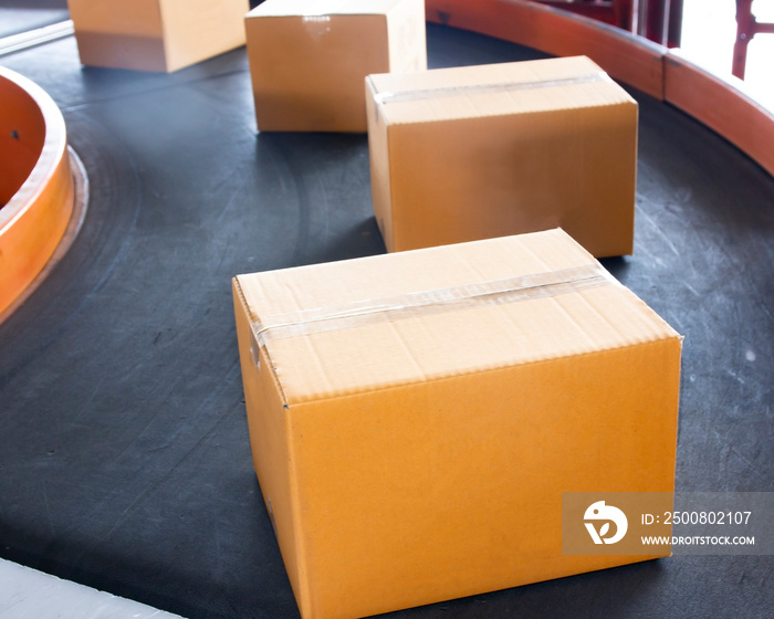 package boxes on conveyor belt, sorting a parcels shipment