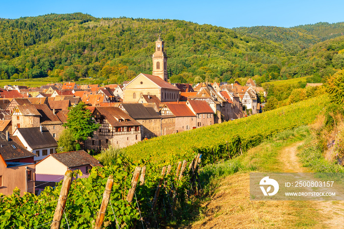 View of Riquewihr village and vineyards on Alsatian Wine Route, France