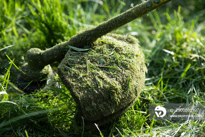 mowing the grass with a lawn mower, garden work concept background