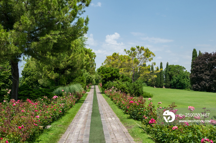 Parco Giardino Sigurtà - Viale delle Rose (Valeggio sul Mincio, Verona, Italia)