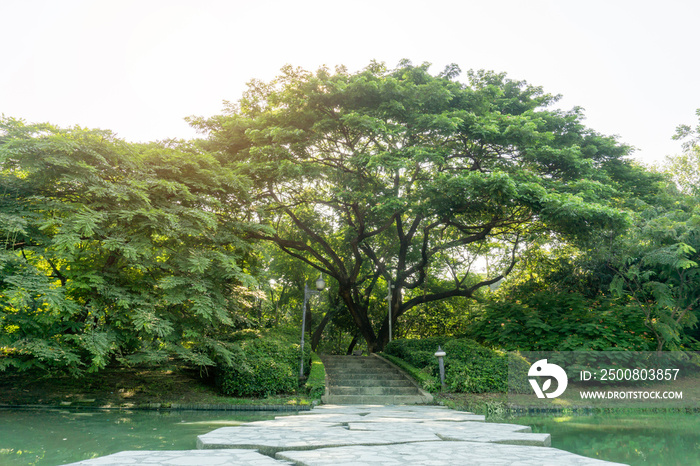 The grey stepping stone curve concrete walkway and a bridge cross a clean lake among greenery trees, shrub and bush in a park, good care maintenance landscapes under white clouds sky