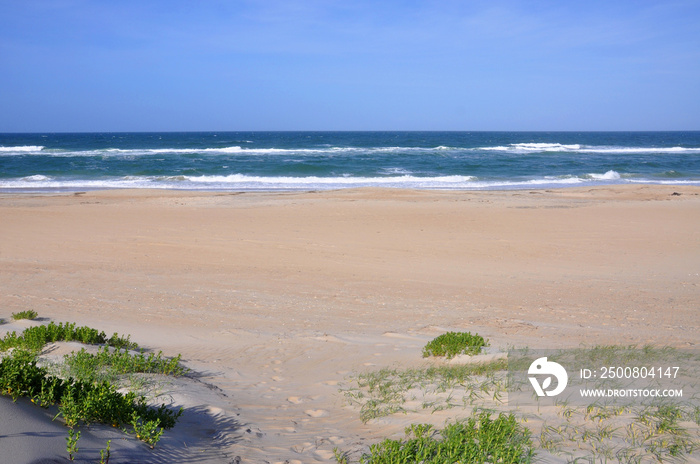 Sand Dune in Cape Hatteras National Seashore, on Hatteras Island, North Carolina, USA.