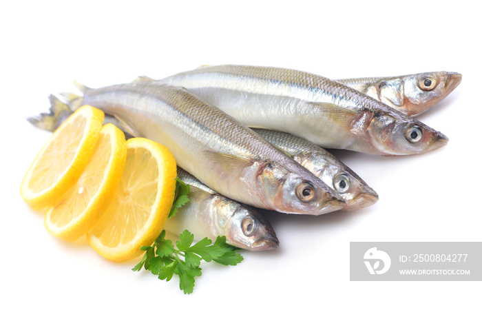 Smelt fish on white background