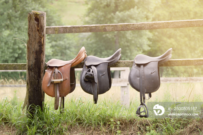 horse saddles in a wooden fence