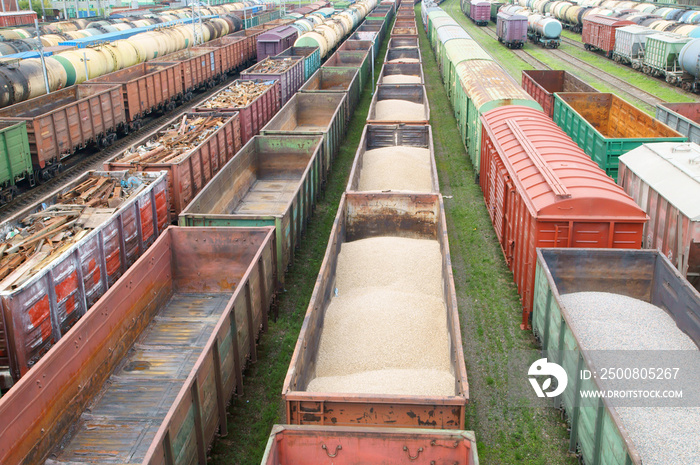 Freight trains on cargo terminal